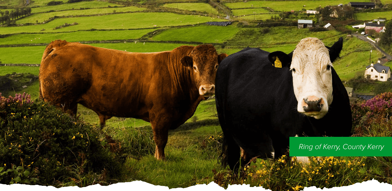 A couple hiking the Irish countryside